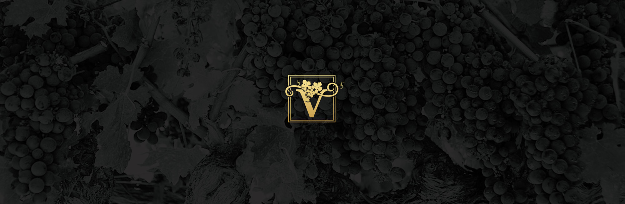Vinosanto Vineyards Contact Page