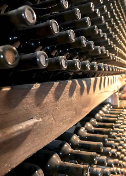 wine rack vinosanto vineyards